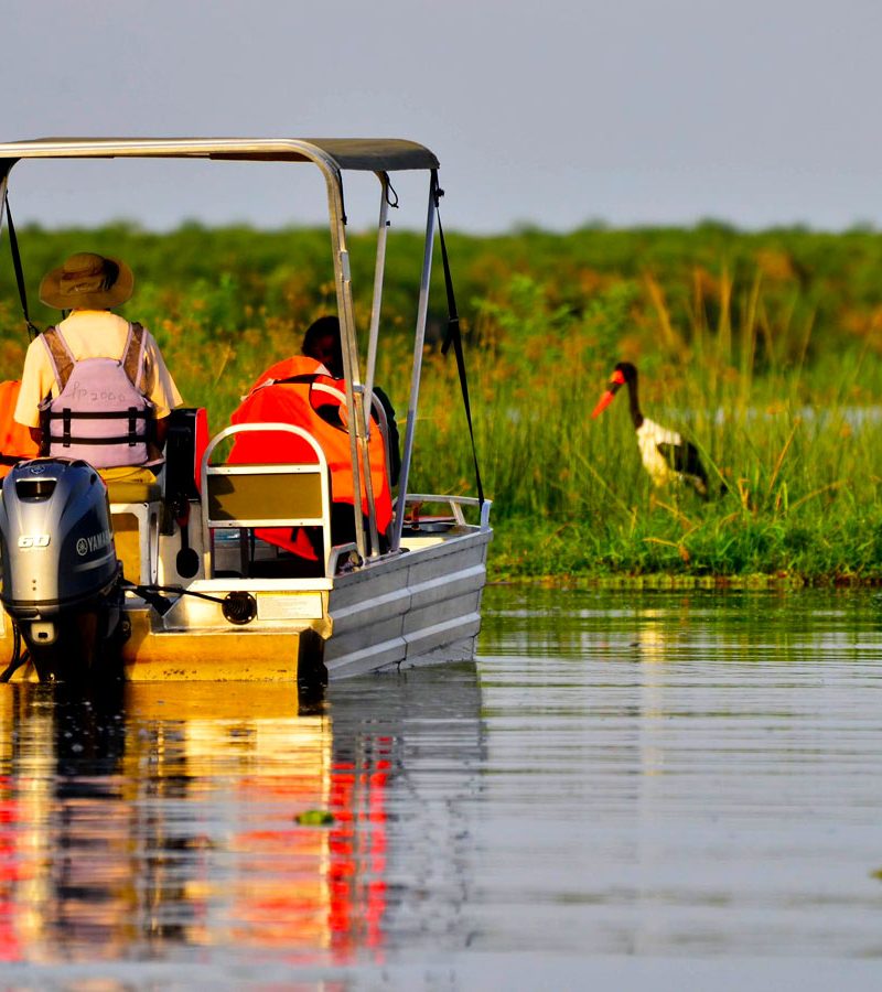 3-days-murchison-falls-national-park-safari