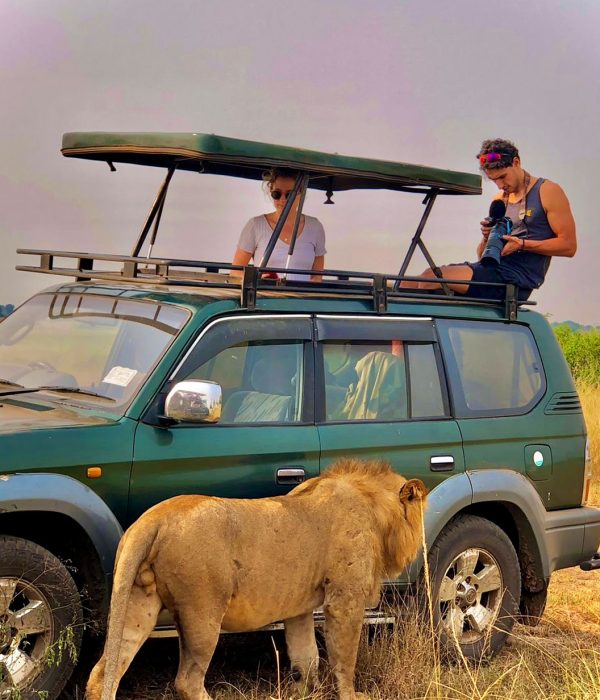 Why the Best Family Friendly Safari Destinations Matter Today