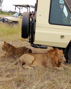 Murchison Falls National Park