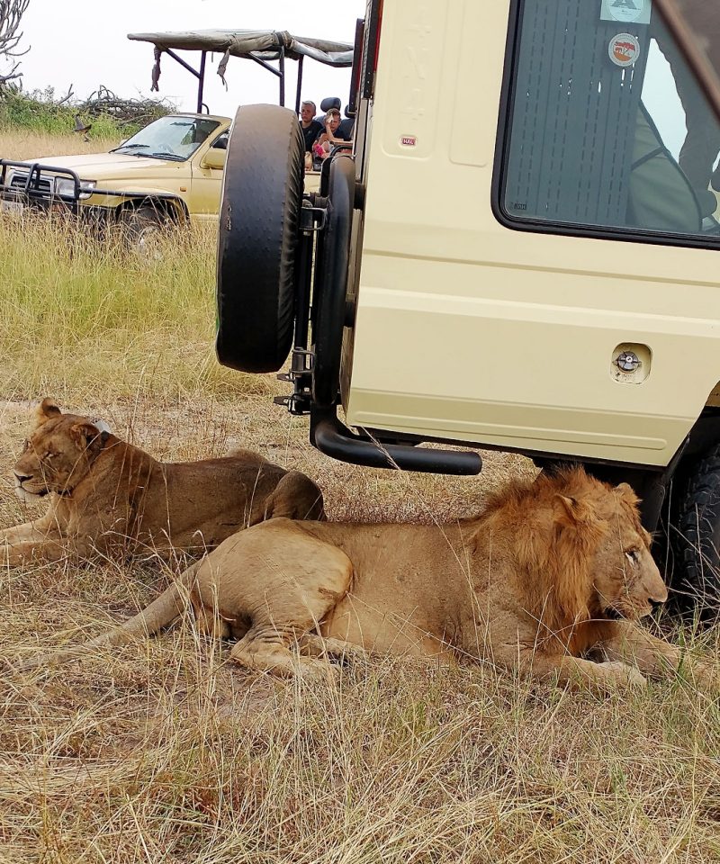 Murchison Falls National Park