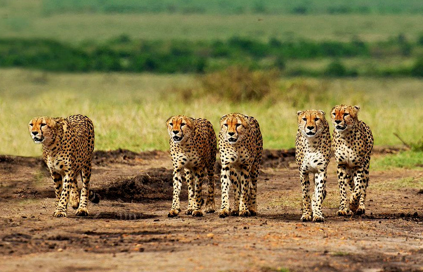 magical-kenya