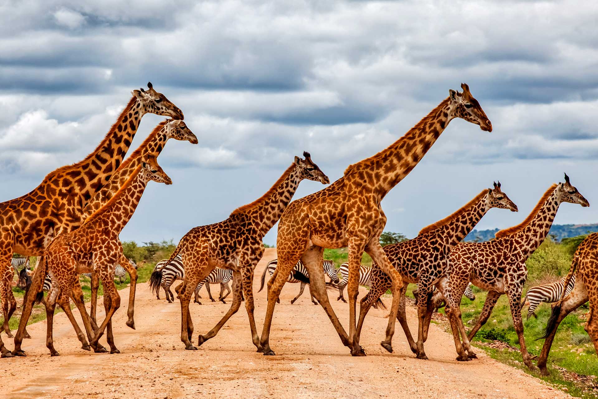 Queen Elizabeth National Park