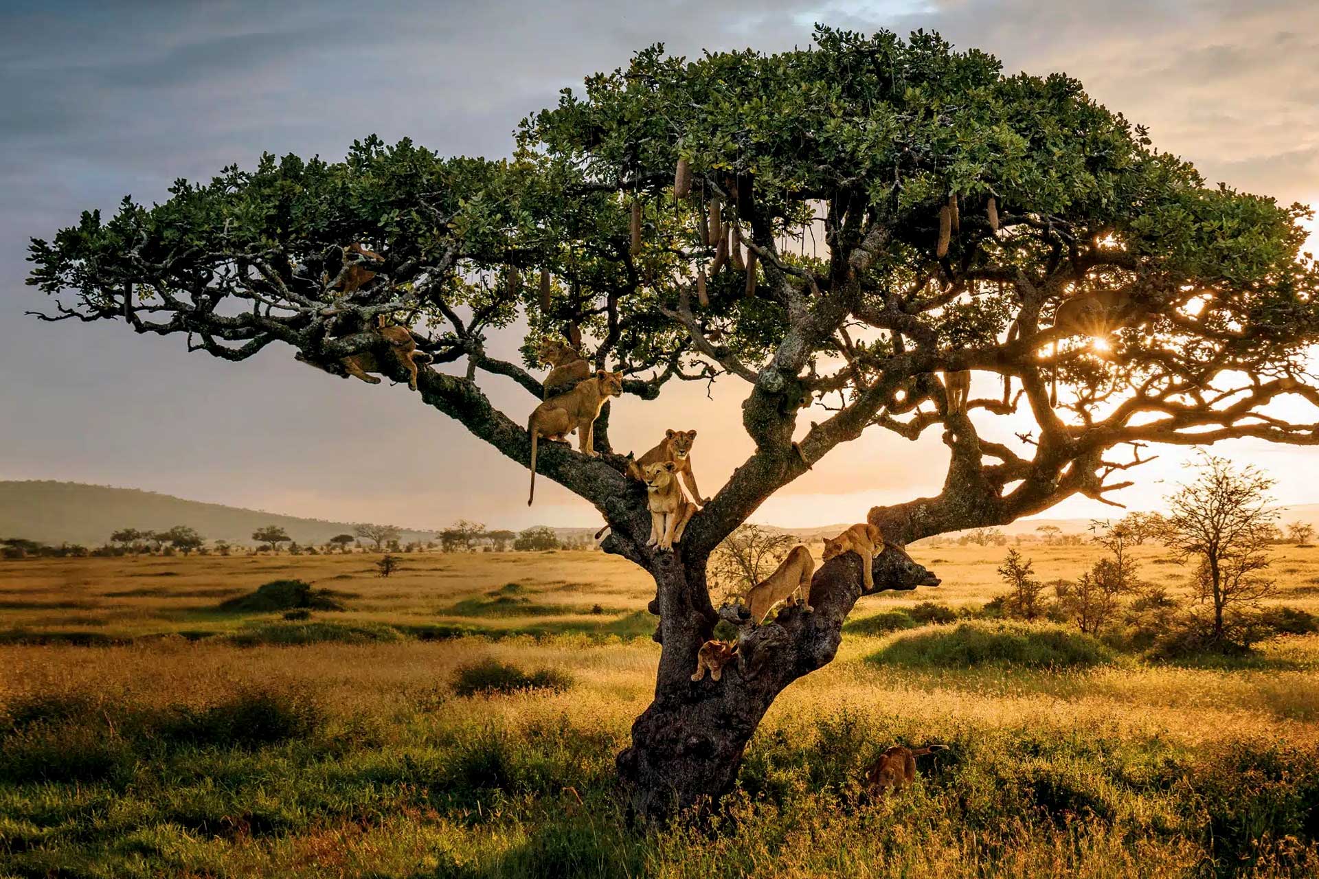 Queen Elizabeth National Park