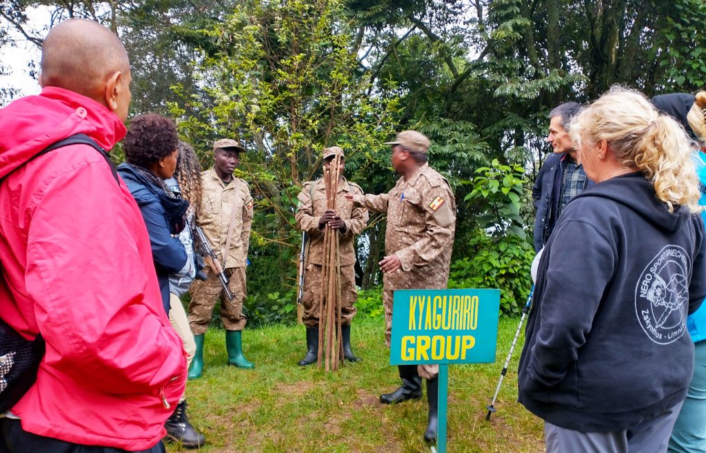 exploring-the-gorilla-trekking-sectors-in-bwindi-impenetrable-national-park