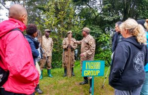 exploring-the-gorilla-trekking-sectors-in-bwindi-impenetrable-national-park