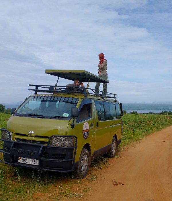 Uganda Safari Cost