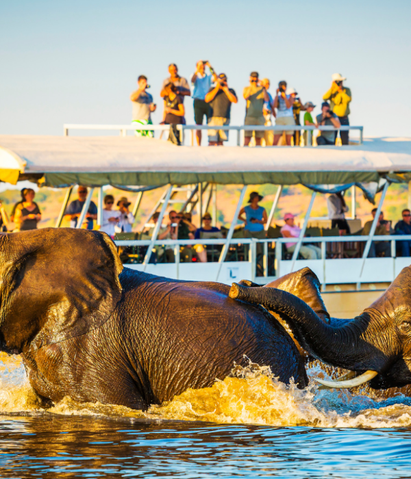 Best safari experiences for honeymooners