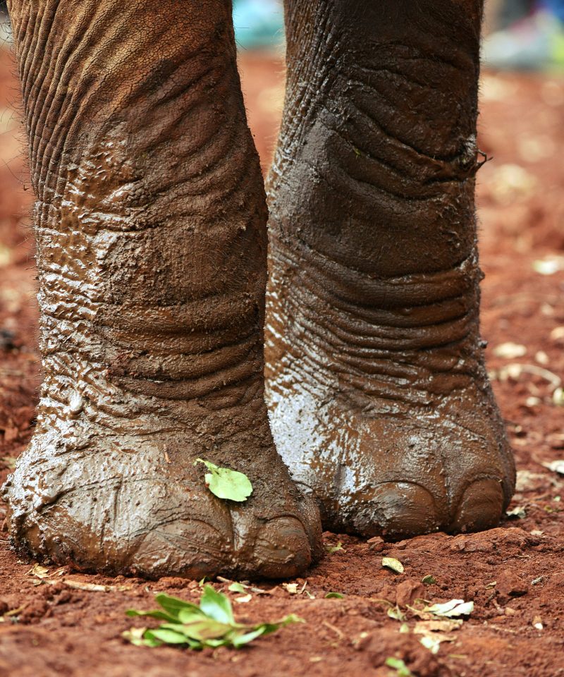 Best Time to Visit Kenya